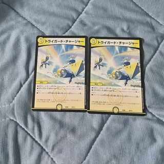 Triguard Charger 16/19