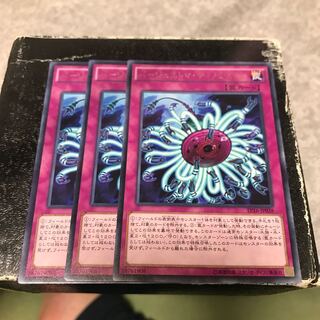 Paleozoic Dinomischus 3 rare