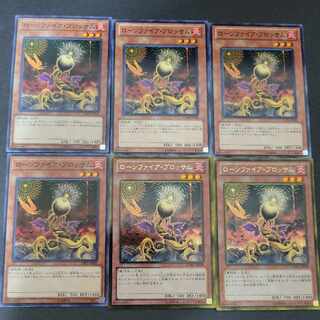 Lonefire Blossom x 6