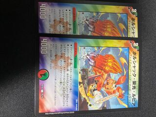 Bolshak Glory Lupia C 75/75