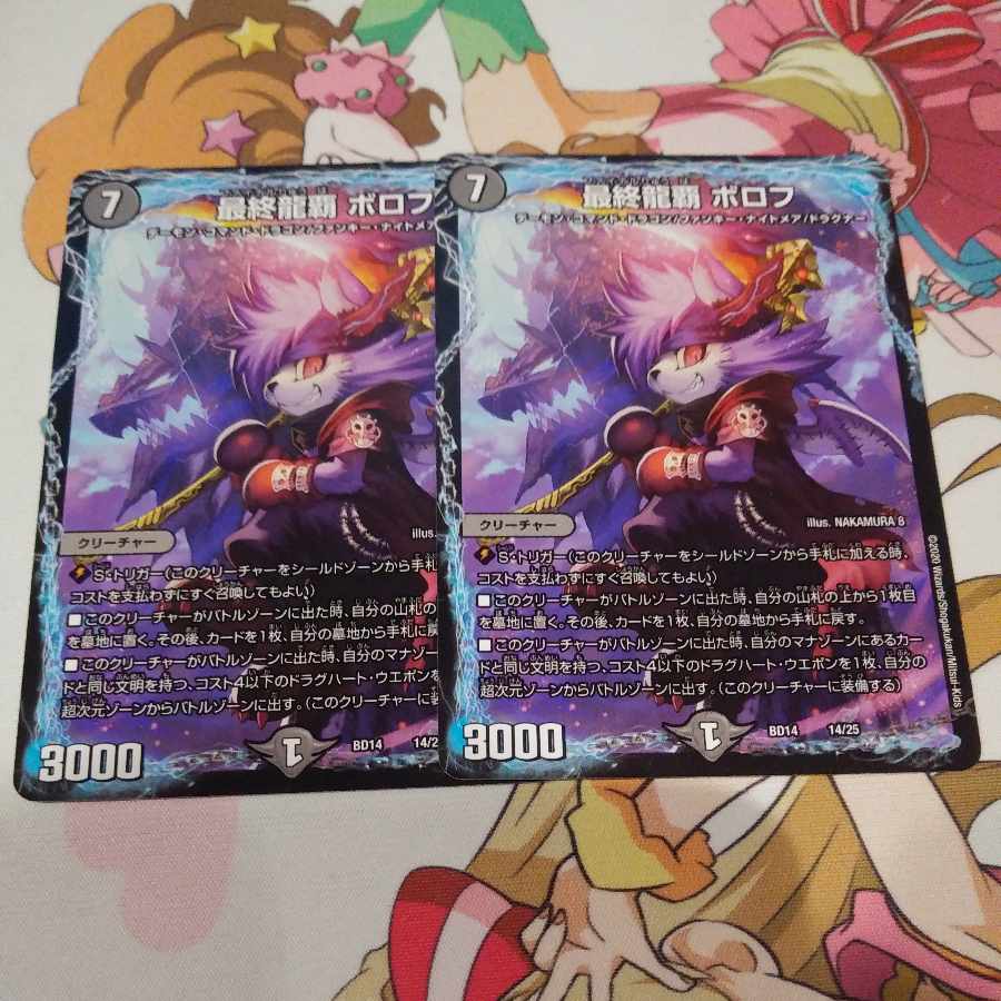 Final Dragon Heights Borov 14/25