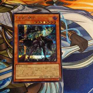 外法の騎士　シークレット