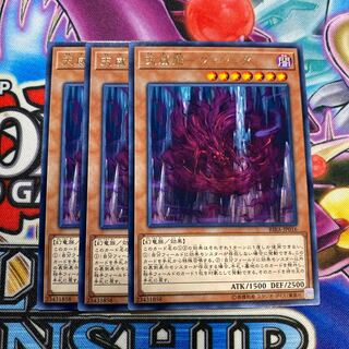 天威龍 ヴィシュダ