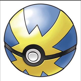 【募集用】クイックボール2枚