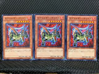 【ぽぽたん】遊戯王 9036 エヴォルダー・テリアス 3枚 ノーマル
