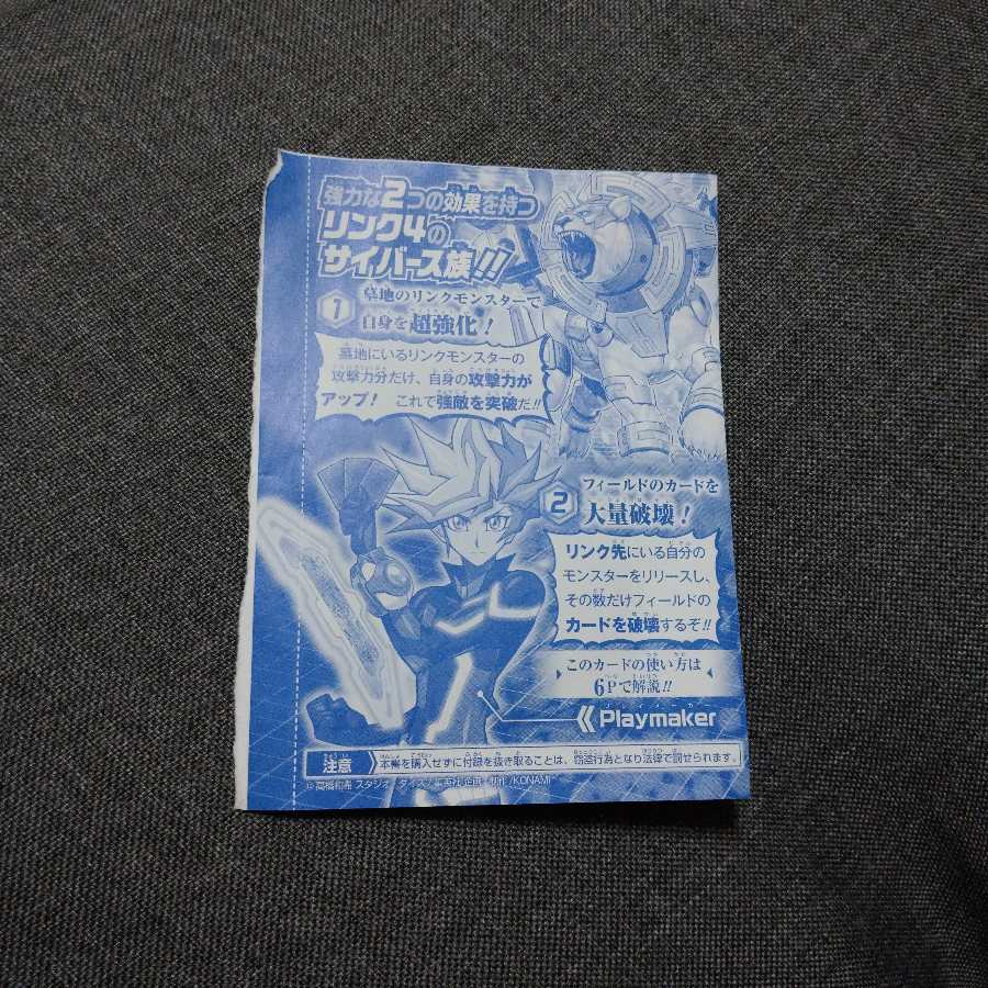 Rasterliger (limited edition card)