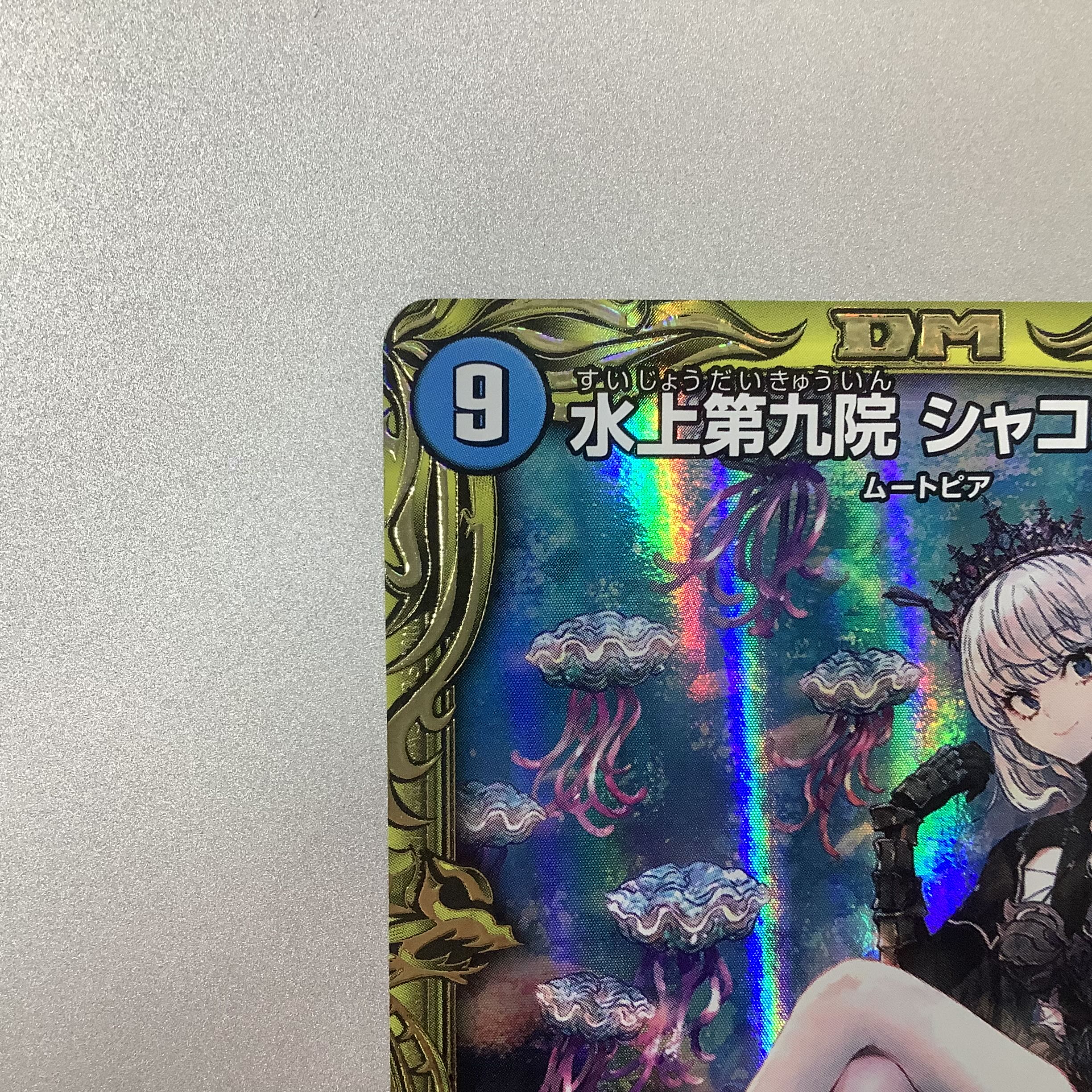 (Beautiful) Waterjo Ninth Institute Shakogile 20thSP 17B/20