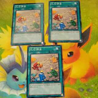 Fossil Dig Set of 3 Normal DE04