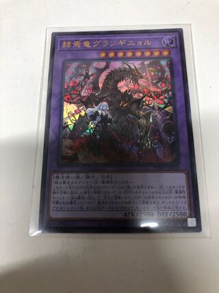 赫焉竜グランギニョル ウルトラレア JP033