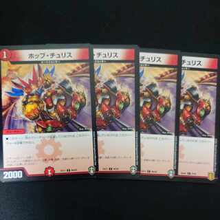 Hop Chu Squirrel C 40/42