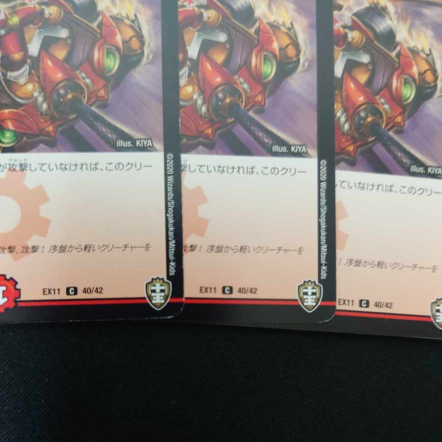 Hop Chu Squirrel C 40/42