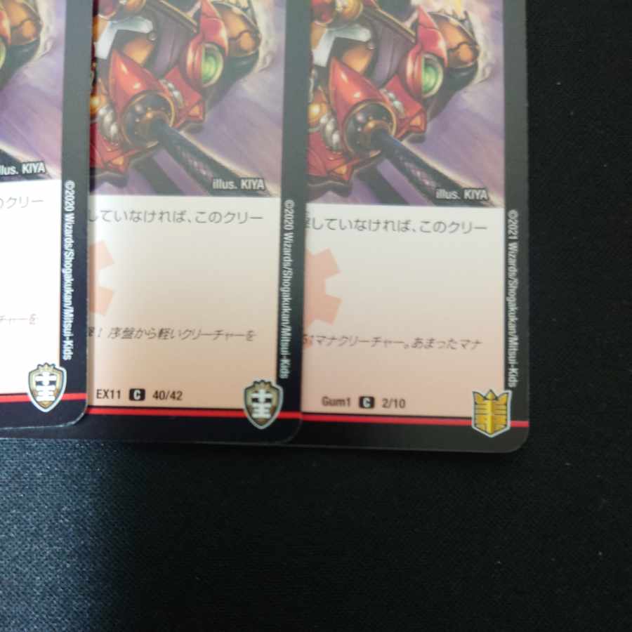 Hop Chu Squirrel C 40/42