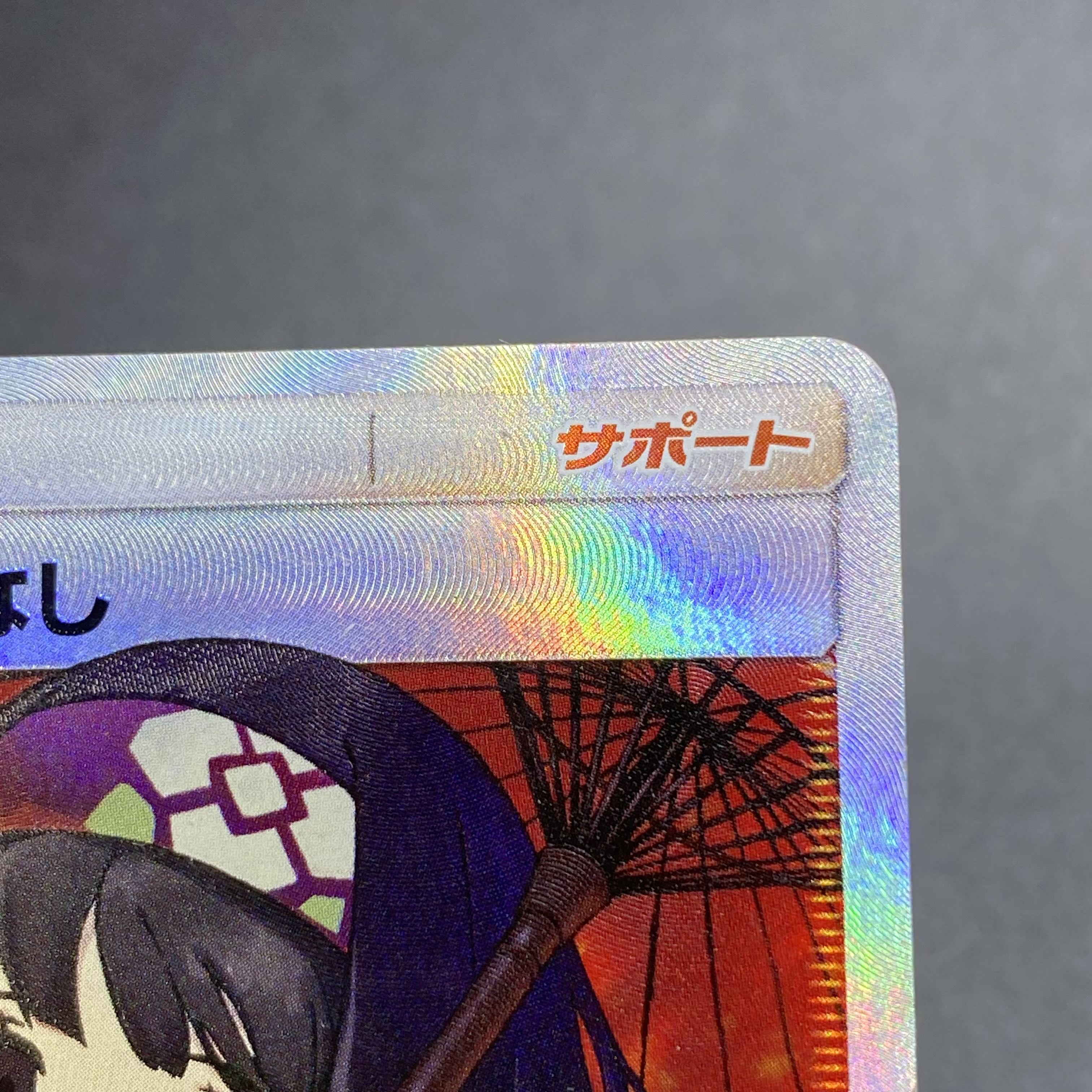 Erika's Hospitality SR 190/173