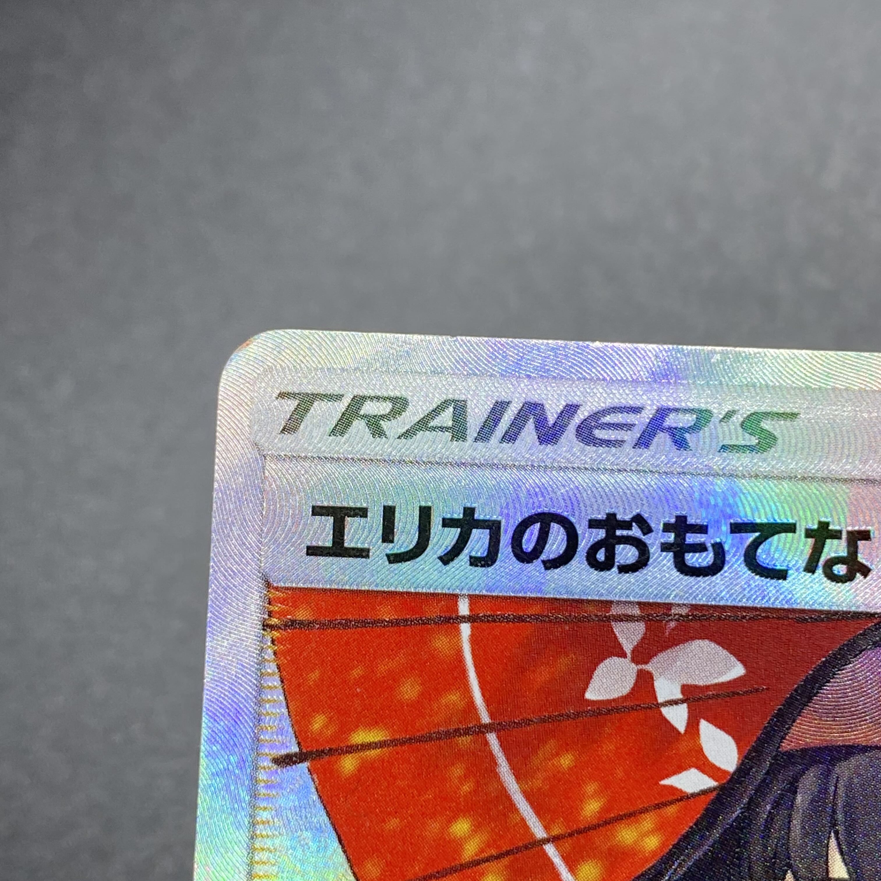 Erika's Hospitality SR 190/173