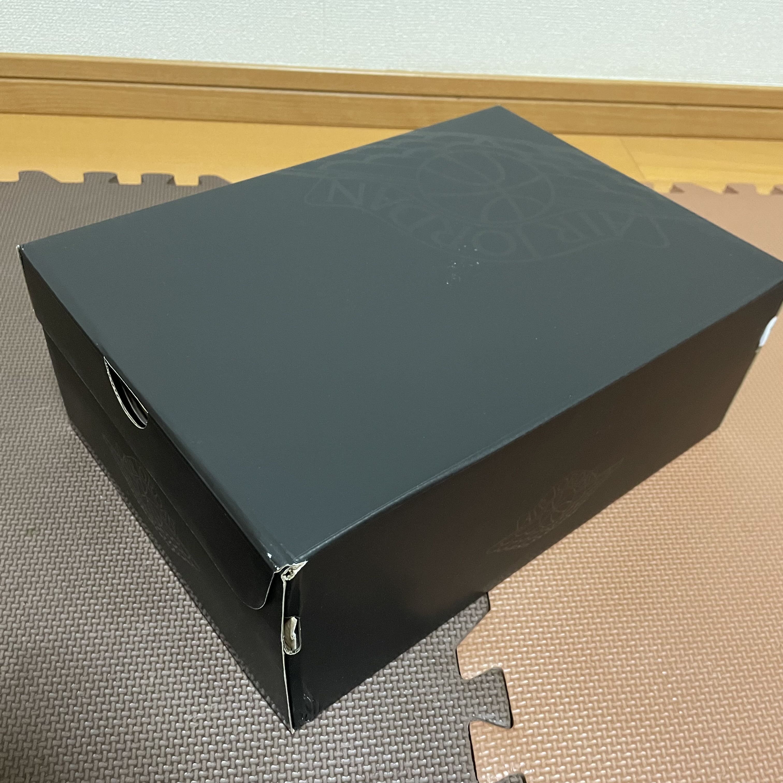 AIR JORDAN1 LOW 29cm