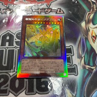 遊戯王　樹冠の甲帝ベアグラム　ホログラフィックレアPSA10 樹冠の甲帝ベアグラム【遊戯王トレカ高価買取価格査定：トレコロ】