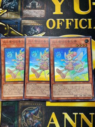 丘と芽吹の春化精 スーパーレア JP016 ３枚セット