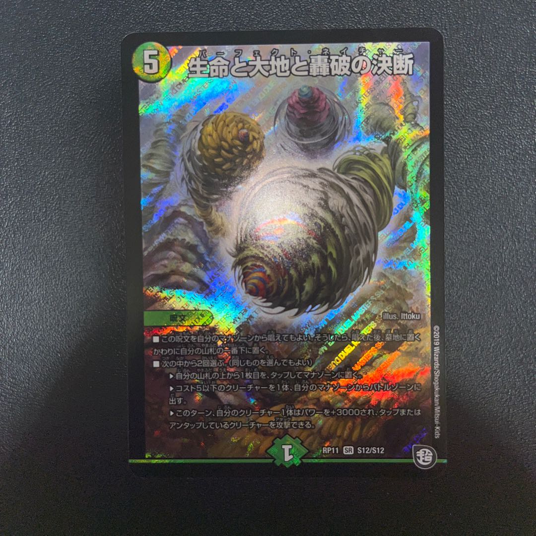 Life Life, Earth and Roaring Decision SR S12/S12