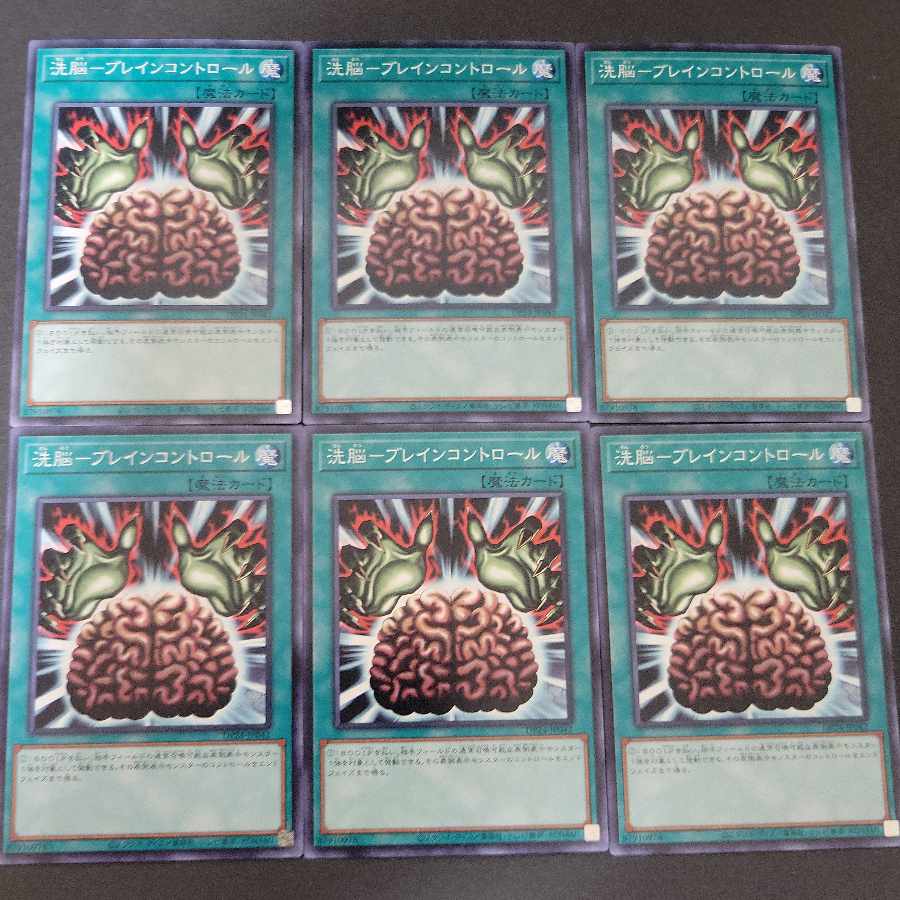 洗脳-ブレインコントロール ノーマル 6枚