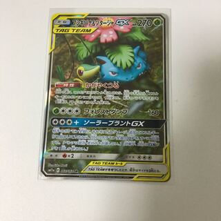 フシギバナ＆ツタージャGX SA SR かがやくつる ポケカ