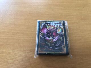 Crash Haido Official Sleeve