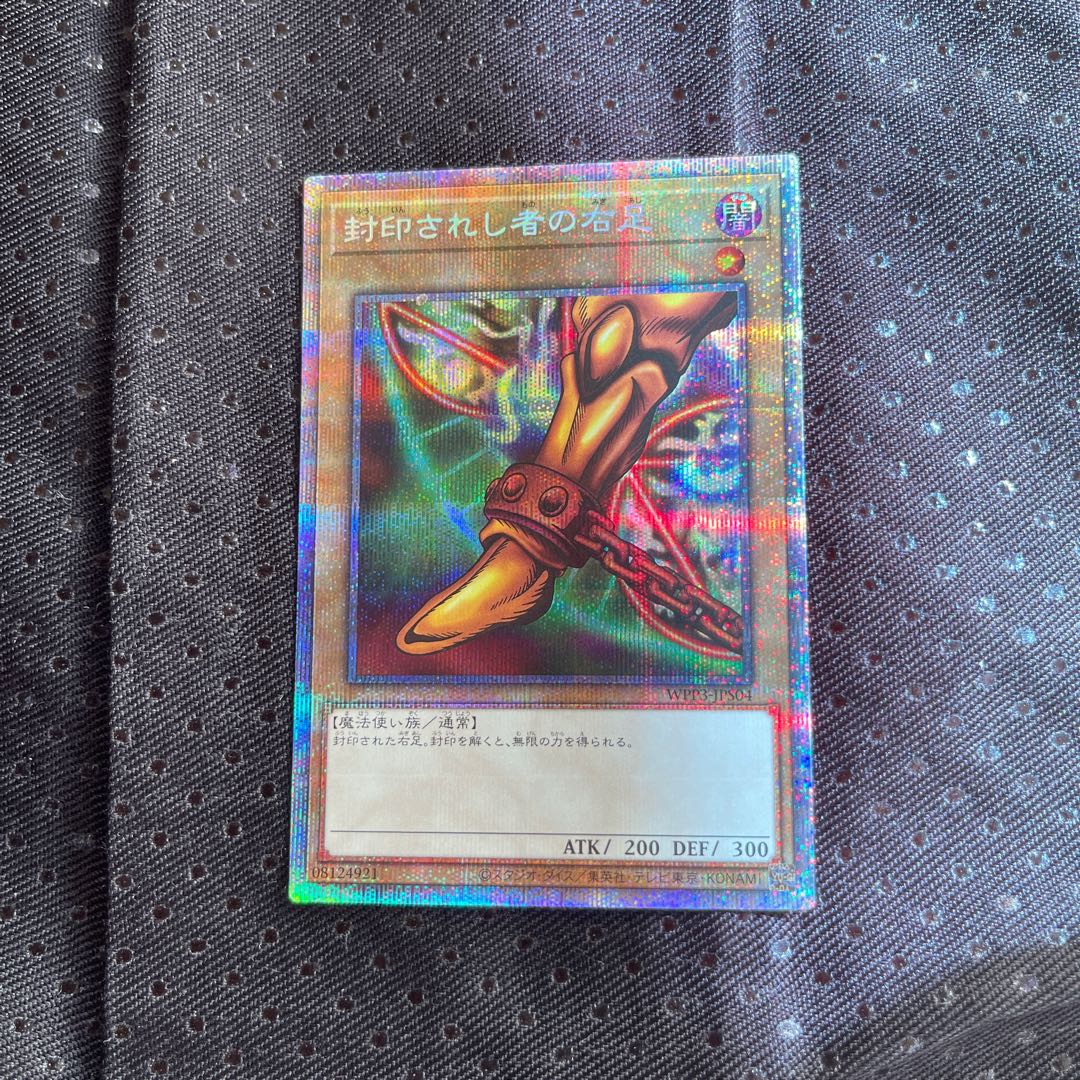 Right Leg of the Forbidden One Plissik