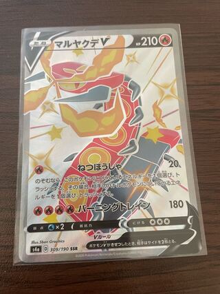 CentiskorchV SSR 309/190