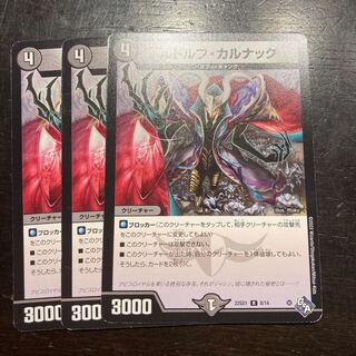 Rudolf Karnak R 8/14