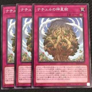 Naturia Sacred Tree Normal [Ishiz, earth attribute