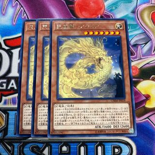 天威龍 アシュナ