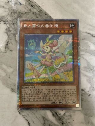 【希少】丘と芽吹の春化精 プリシク 五つ目