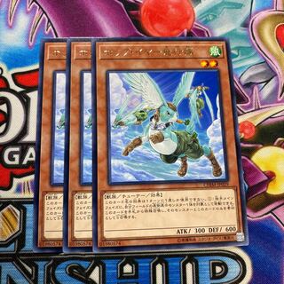 ホップ・イヤー飛行隊