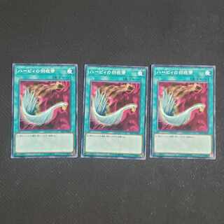 ハーピィの羽根帚 ノーマル JP032 3枚