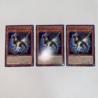 Chaos shell Normal JP010