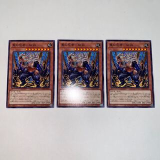 重の忍者-磁翁 ノーマル JP017