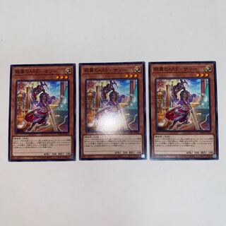 AXE-Sally of the Silver Wings Normal JP026