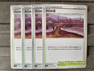 Large Swamp U 067/067 ①