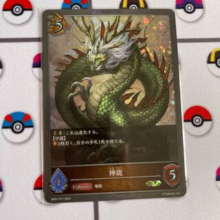 Shinryu SR Aiku @Basic Next Day Shipping