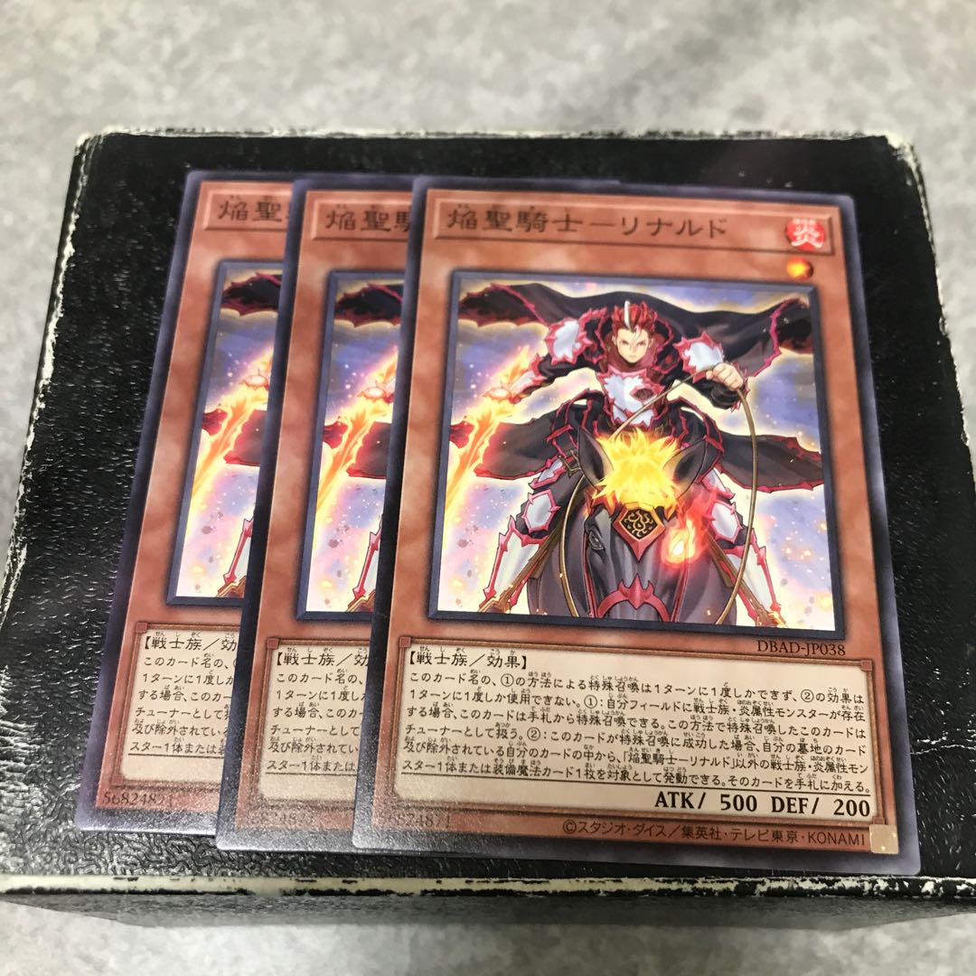 Flame Holy Knight - Rinaldo 3 normal