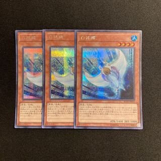c44 白棘鱏 シークレットレア 3枚セット 遊戯王 トレトレ