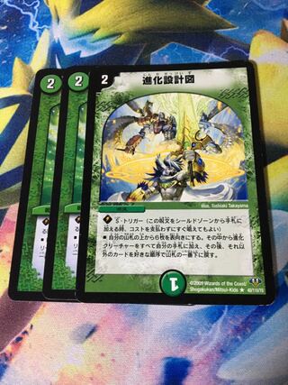 進化設計図  3枚