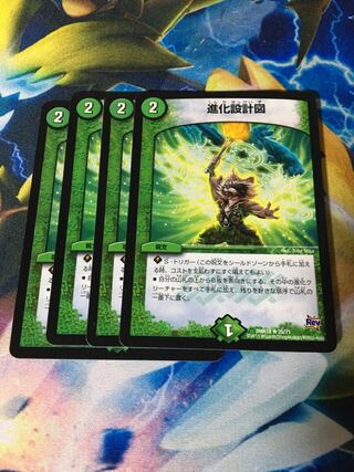 進化設計図 4枚