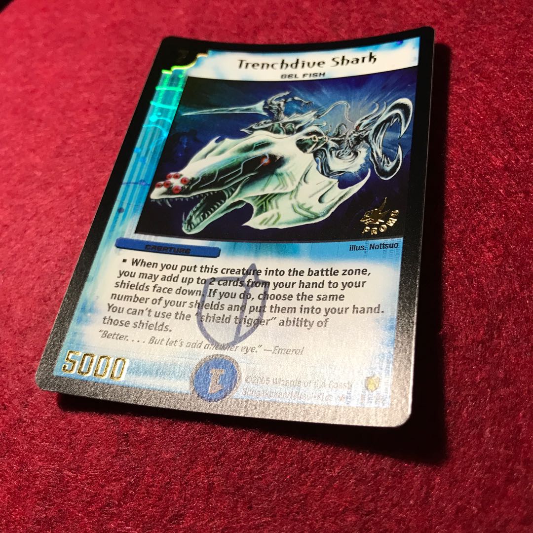 英語版プロモ キャバリアシャーク