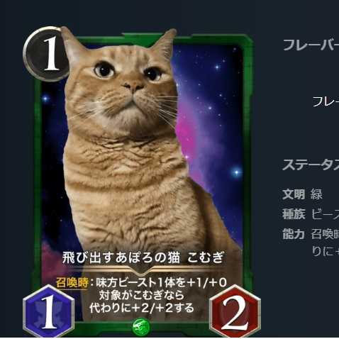 飛び出すあぽろの猫 こむぎ