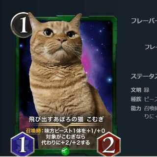 飛び出すあぽろの猫 こむぎ