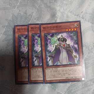 Summoner of the Galaxy Normal JP002