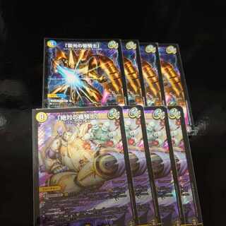 The absolute shield knight, the holy knight of Lightning Light.