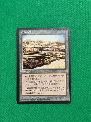 MTG 露天鉱床 / 日本語版【2枚セット】 MTG 露天鉱床 / 日本語版【2枚セット】 - メルカリ