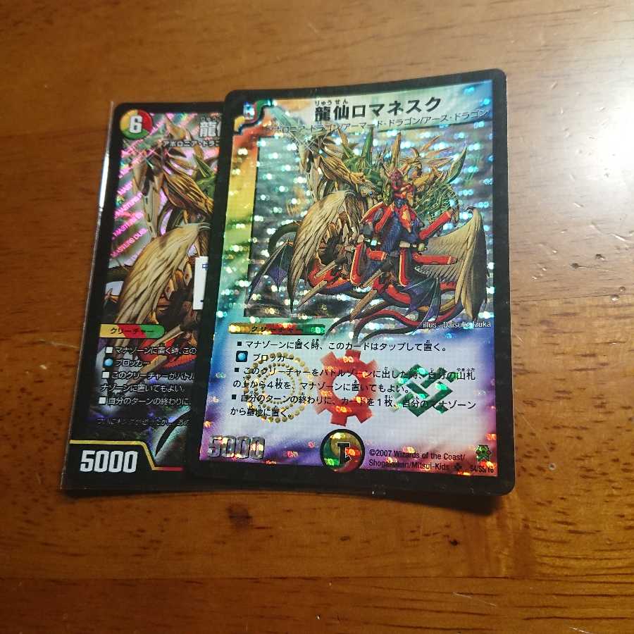 龍仙ロマネスク