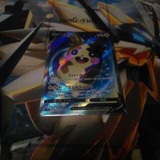 モルペコV  SR1枚